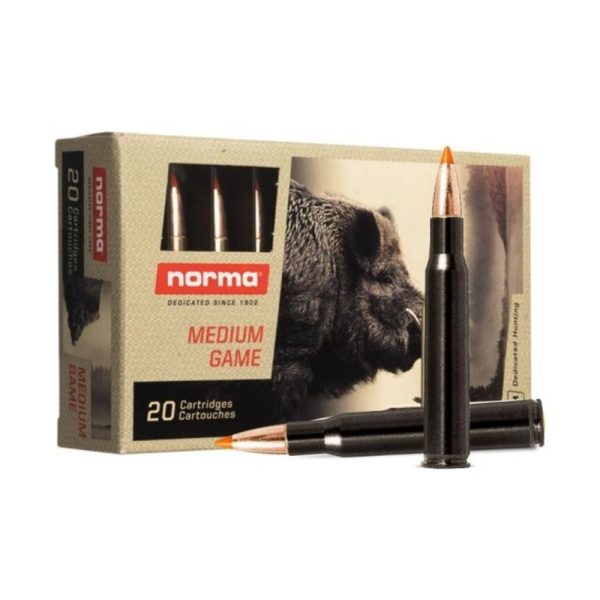 Norma CTG 308 Win Tipstrike Silencer 11.0g/170gr